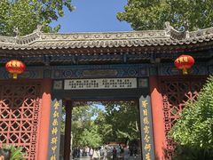 -大槐树寻根祭祖园
