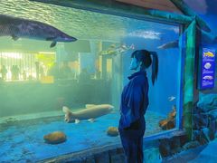 -顺德南宏海立方海洋公园