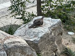 -莲池书院博物馆