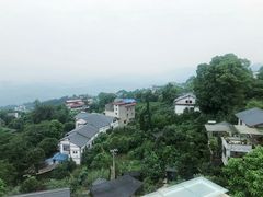 -南山植物园