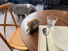 -沏点Trattoria意大利餐厅(新街口店)