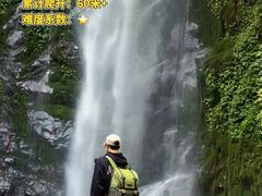 -莫里热带雨林景区
