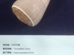 -上海海洋大学鱼文化博物馆(军工路校区)