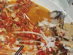 -全乐鱼馆·淳牌有机鱼直营店