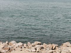 -丁香湖公园
