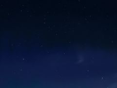 -武陵山森林公园
