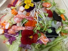 -吉之仙•中国制造•出口级食材日料店(领事馆总店)