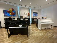 -柏斯琴行(汾阳店)