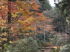 -三千院