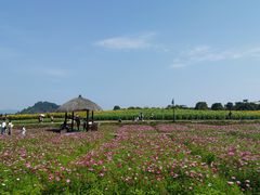 -径山花海