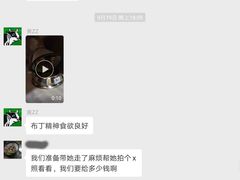 微信群-芭比堂动物医院·24小时·眼科中心(深圳中心)