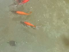 -即墨印象