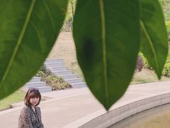 -神光山国家森林公园