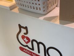 -御宝贝·A梦猫科宠物医院(国际猫友好医院)