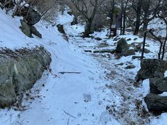 -阳台山自然风景区