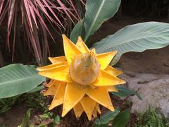 -南通洲际绿博园