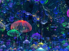 -天津梵高星空艺术馆(天河城旗舰店)