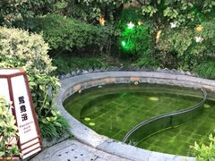 -杭州第一世界大酒店·云曼温泉