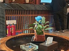 -水木谷养生水汇