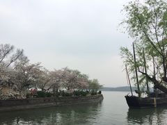 -熙盛源(永乐路店)