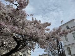 -诺丁山