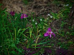 -苏州河梦清园环保主题公园