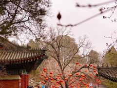 -香山公园