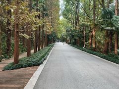 -同里国家湿地公园