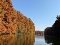 -上海海湾国家森林公园