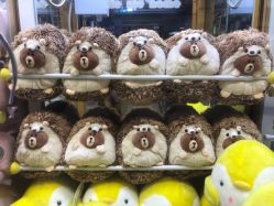 -嗨翻Hi-Fun竞技主题乐园·蹦床团建生日聚会(五棵松华熙店)