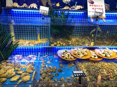 水产区-必点海鲜·鲅鱼水饺(鞍山西道店)