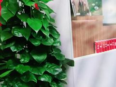 -招商银行(唐镇支行)