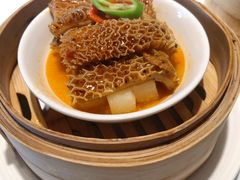 黑椒金钱肚-悦景酒家(罗湖店)