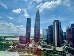 -小南洋海景餐厅(深圳湾店)