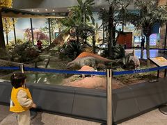 -湖南省地质博物馆