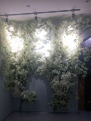 点击看大图 -小阿福儿童摄影(光谷时代广场店)