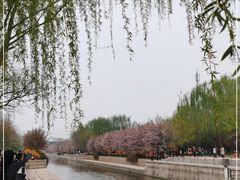 -元大都城垣遗址公园