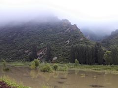 -白河湾生态旅游一条川