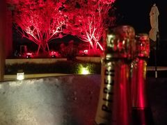-瑰丽酒店·海吧·天际下午茶·现场DJ·天台酒吧