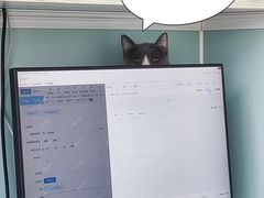-纳吉亚猫专科动物医院·北北分院