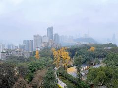 -鹅岭公园瞰胜楼