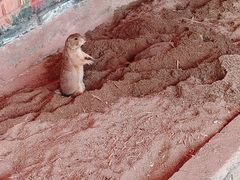 -杭州野生动物世界