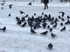 -谢尔盖圣三一大修道院