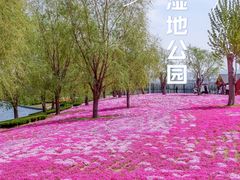 -羊亭河湿地公园