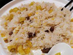-圣雷克大酒店