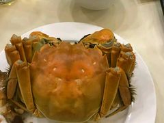 -王宝和酒家(黄浦店)