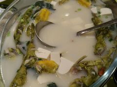 -石头咕(葵蓬店)