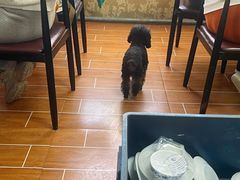 -清真·馬坡二旦烧烤(人生一串拍摄店)