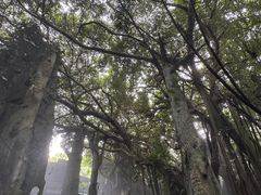 -青青世界