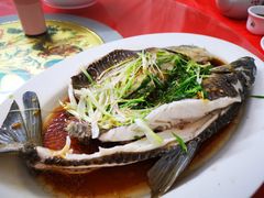 -银峰农庄·特色烧鸡·鲜无花果浸鸡